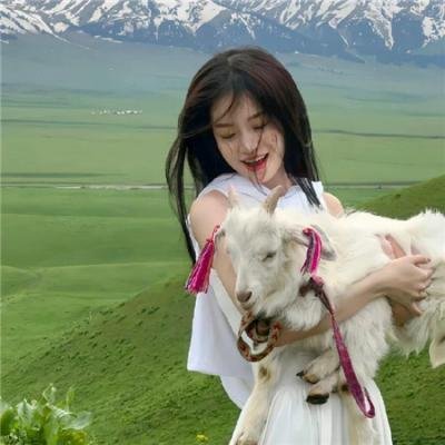 海上烈爱
